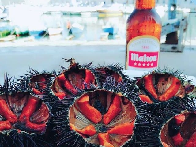 krudo bisceglie ricci puglia