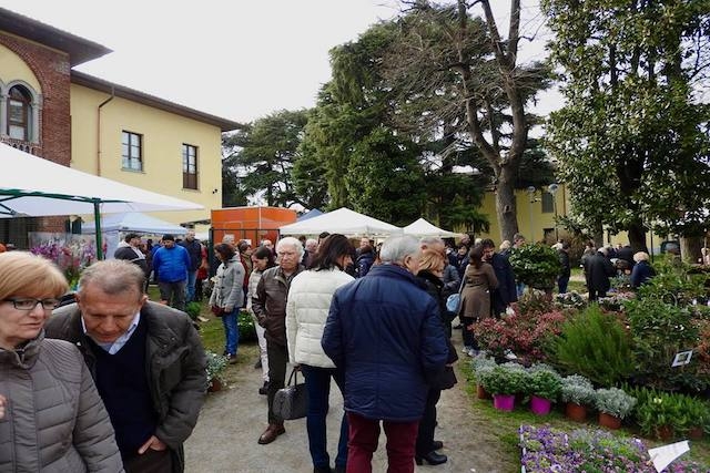 fiori e natura 2018