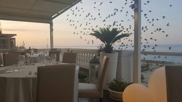 le terrazze pescara
