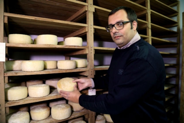 pecorino di farindola