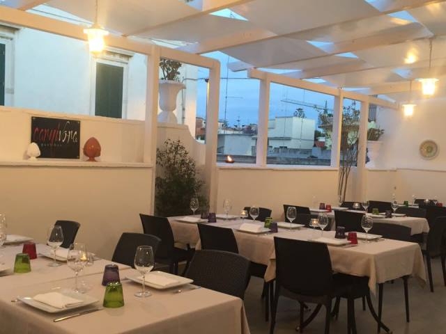 carnivora terrazza