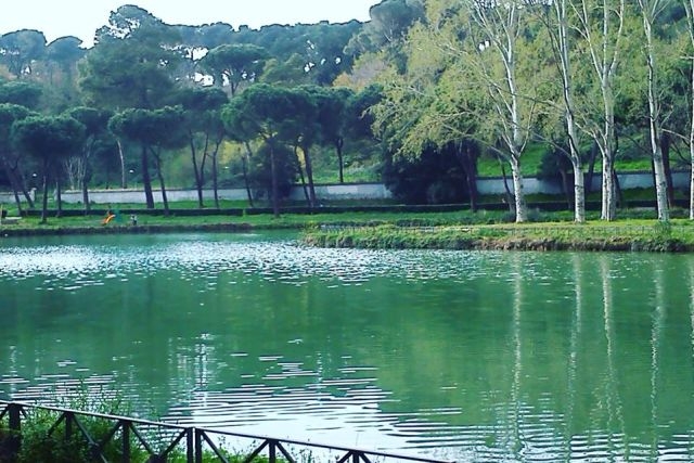 fare picnic a roma villa ada