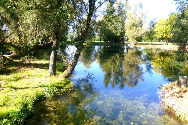 grigliata veneto