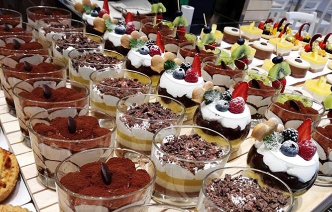universo vegano