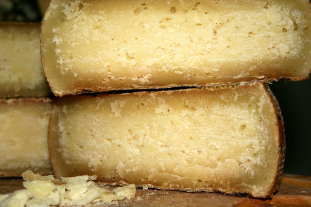 pecorino di farindola