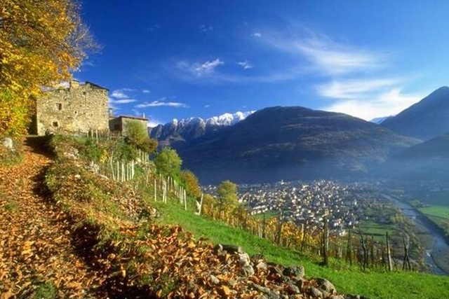 strade del vino valtellina