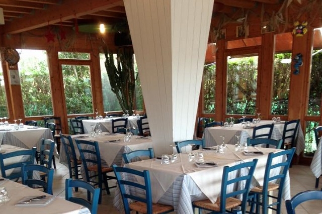 all'armanda viareggio https://www.facebook.com/ristoranteallarmanda/photos/pb.212168652138760.-2207520000.1458233383./1092443167444633/?type=3&theater