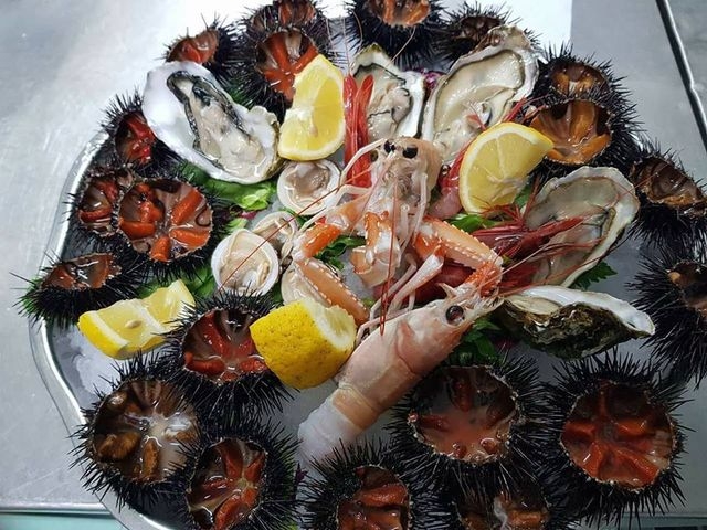 brezza marina bisceglie puglia ricci