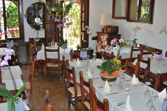 etnico elegante verona