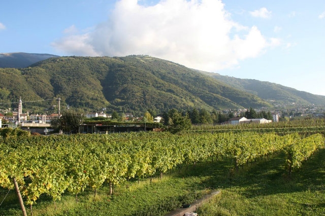 strada del prosecco veneto