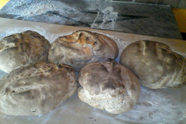 agriturismo il marchese del grillo oriolo romano bracciano pane pizza cotto a legna taglieri salumi e formaggi bracciano lago di martignano primavera in agriturismo