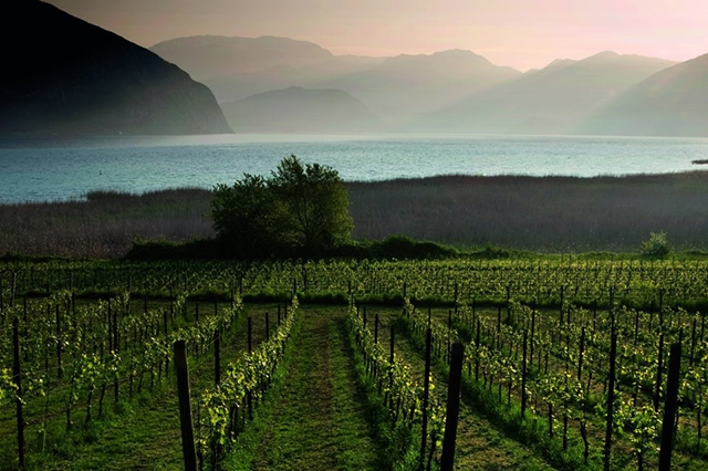 strade del vino franciacorta