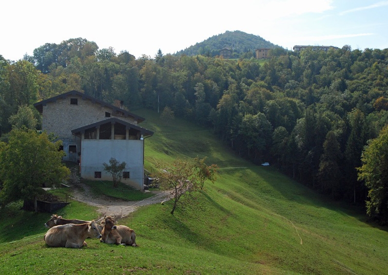 agri la fontana bg