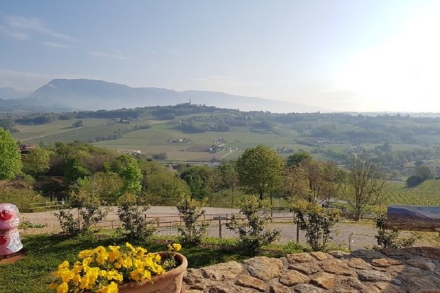 poggio