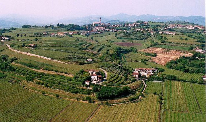 sagre eventi verona agosto