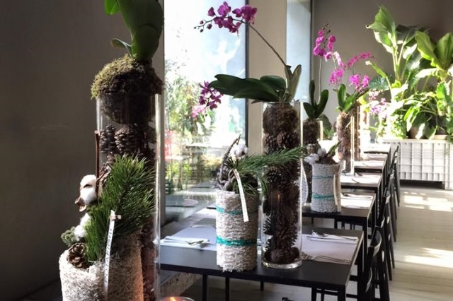 milano colazione pranzo cena aperitivo fiori potafiori