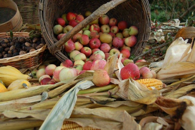 sagre ottobre 2017 veneto