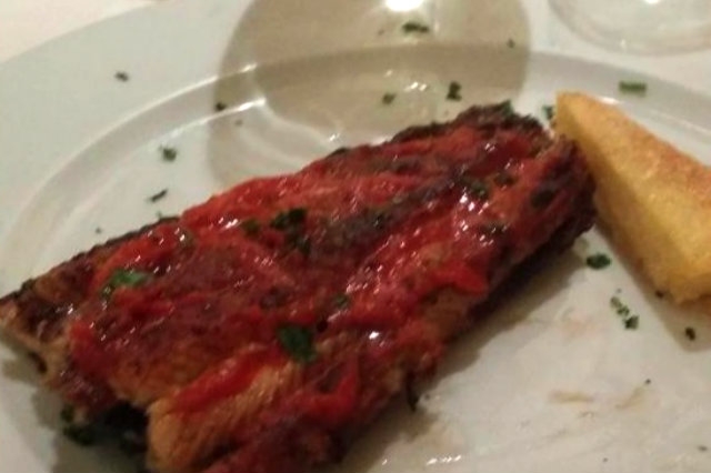 anguilla padova