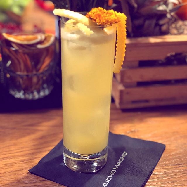 gin fizz passion fruit