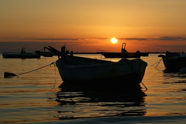 porto cesareo