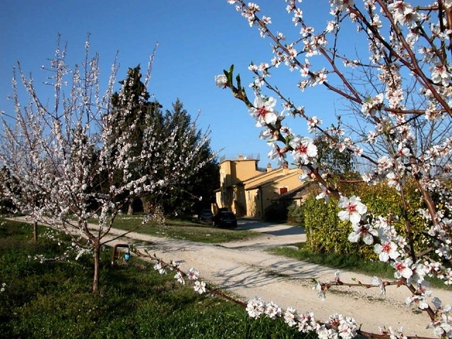 agriturismo le magnolie loreto aprutino