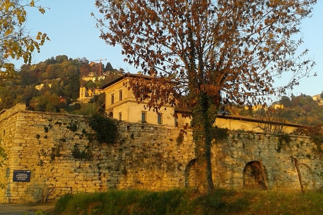 astino