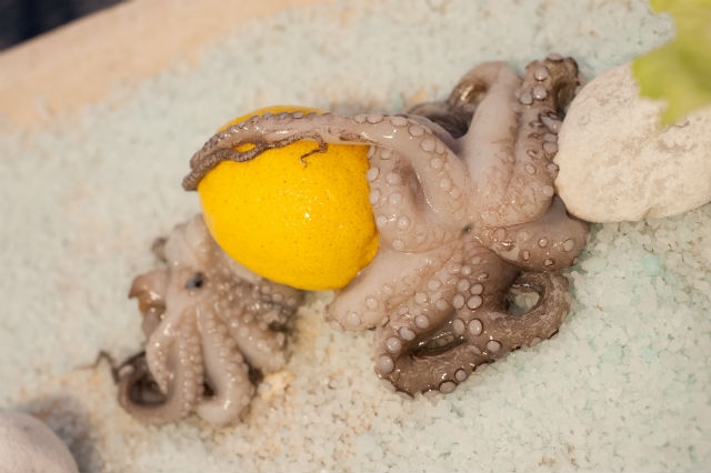 cucina tipica pugliese pesce crudo cotto trani lungomare colonna trani'70