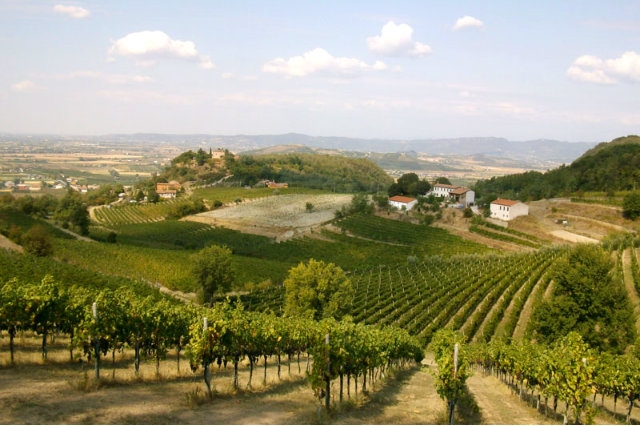 parchi veneto
