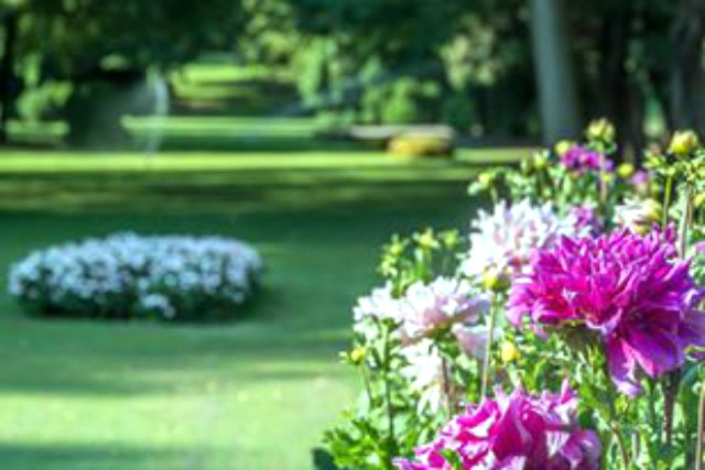 i più bei parchi e giardini del veneto