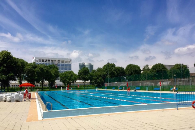 cardellino milano