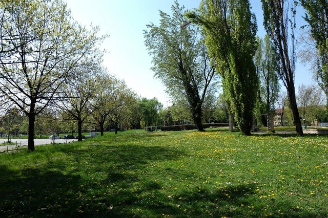 parco goisis
