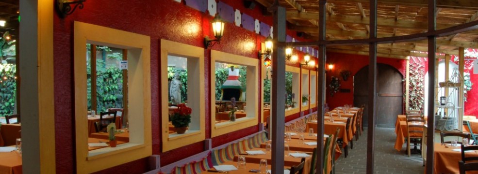 la penca del maguey