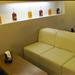 Theobroma