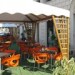 Caffe Lotto