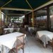 Magnolie - Baccanale