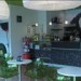 Caffeina