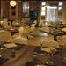 Barracudino Easy And Chic