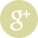 condividi su google plus