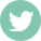 condividi su twitter