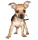 nuvolerapide avatar b0317328b263307298561f4ccc6dc496