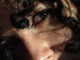 silbo avatar 9c8eb7de82fc633a3ef889ebfa5e966a