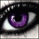 63f10c9b6b4885c13a1f0241daad2f80
